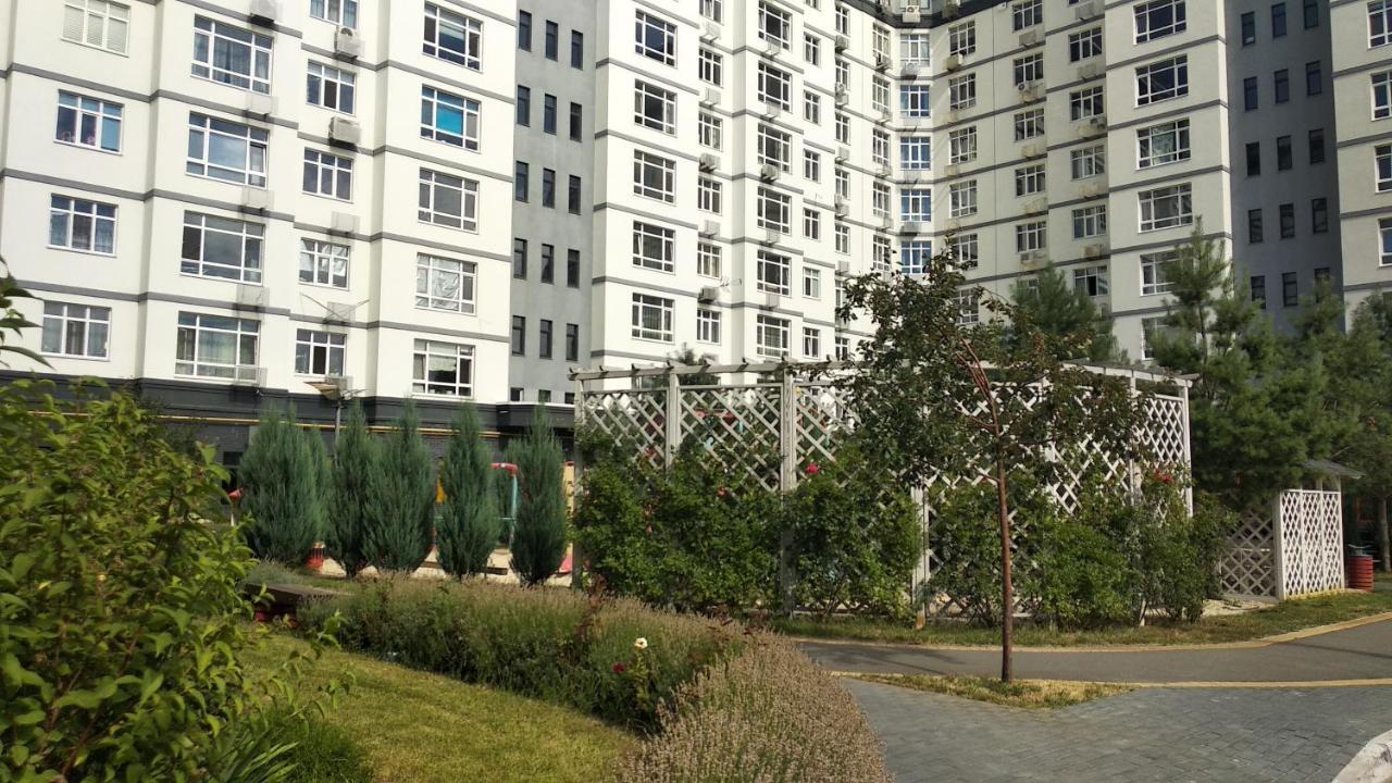 Fly Up Home Apartment Boryspilʼ Buitenkant foto